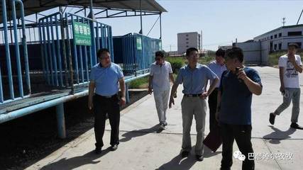 強化監(jiān)管保安全，巴彥淖爾市畜禽屠宰企業(yè)獸醫(yī)醫(yī)療器械迎檢記